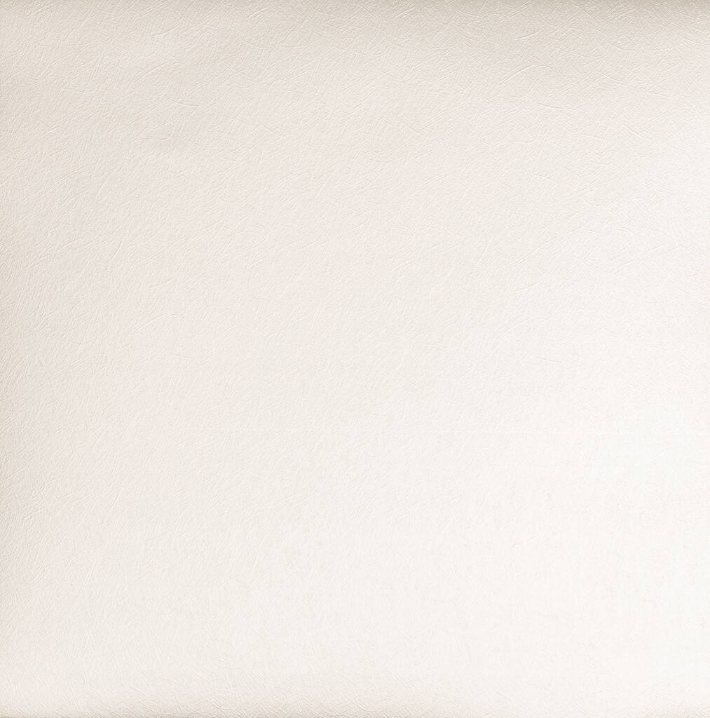 10267531.jpg img